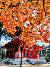 高野山 金剛峯寺 壇上伽藍の根本大塔と紅葉（2021.11.3）