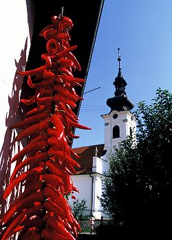 Reformierte christliche Kirche in Kopačevo