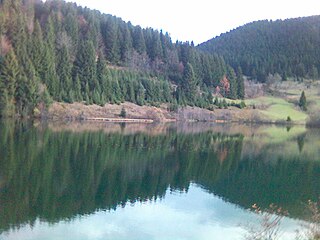 Kukavičko Lake lake in Bosnia and Herzegovina