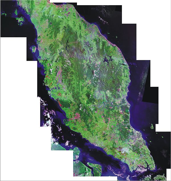 Landsat false-colour mosaic of Peninsular Malaysia