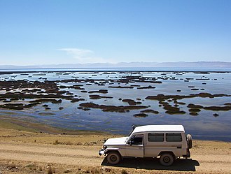 Junin Lago de Junin-Juni Peru.jpg