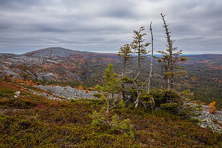 Noitatunturi in September, Pyhä-Luosto National Park, Pelkosenniemi, Lapland
