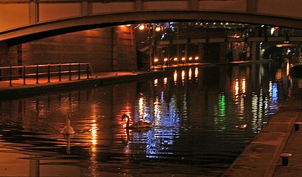 Late night swans on a Birmingham canal