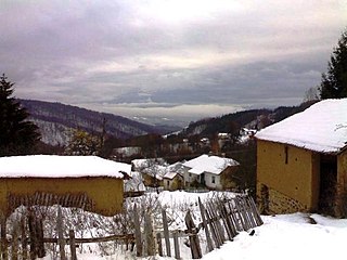 <span class="mw-page-title-main">Lebet</span> Village in Pčinja District, Serbia