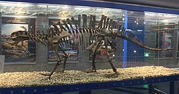 Lotosaurus-Beijing Museum of Natural History.jpg
