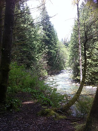 <span class="mw-page-title-main">Lynn Valley</span> Neighbourhood in North Vancouver, British Columbia, Canada