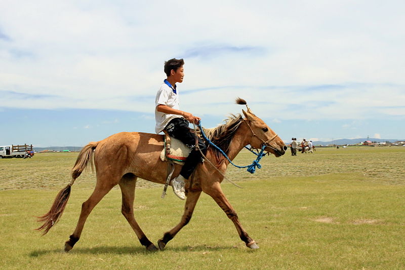 File:Młodzi jeźdźcy podczas mongolskich zawodów jeździeckich na lokalnym festiwalu Naadam (03).jpg