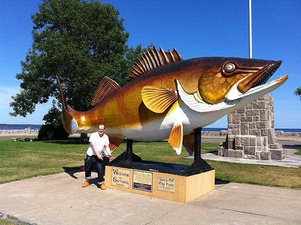 Fishing on Mille Lacs Lake is promoted by a giant walleye statue. It is located off of U.S. Route 169 in Garrison.