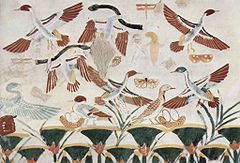 Hunting birds with throwing sticks in ancient Egypt Maler der Grabkammer des Nacht 006.jpg