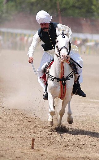 <span class="mw-page-title-main">Tent pegging</span> Equestrian sport