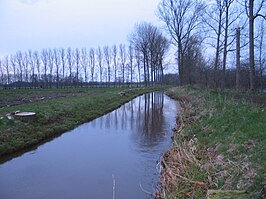 De Mangelbeek in Lummen (2008)