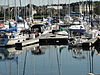 Marina at Sturgeon Bay