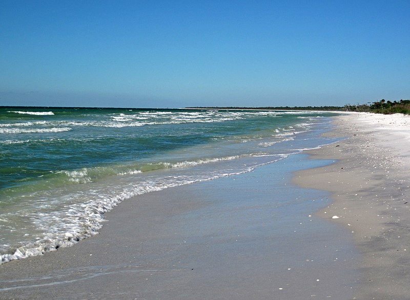 File:Marine shoreline of Cayo Costa Island (Gulf of Mexico coast of Florida, USA) (23771084953).jpg