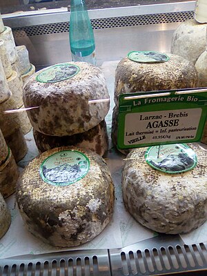 Sheep Milk Cheese