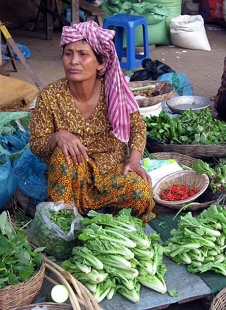 Kampong_Thom_(thành_phố)