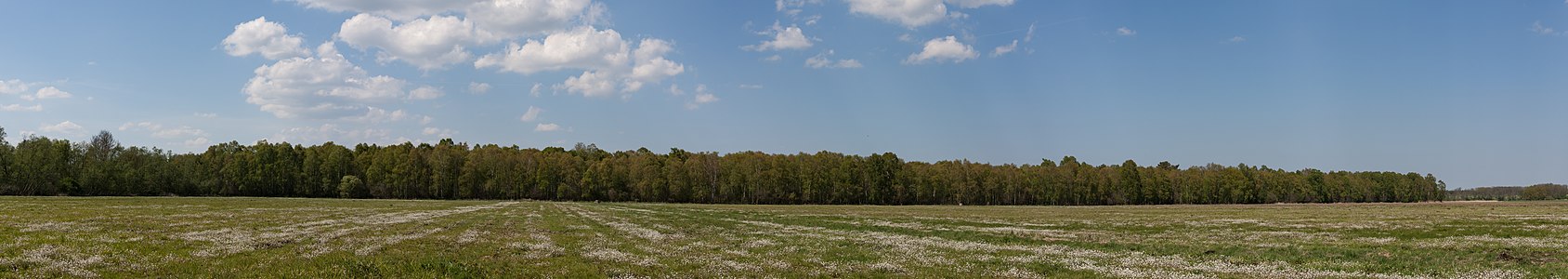 Naturschutzgebiet - Beseritzer Torfwiesen