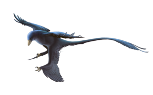 Dromaeosauridae