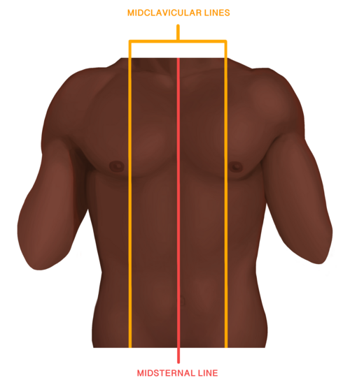 Mid Lines Surface Anatomy of the Chest.png