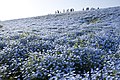 2018年4月25日 (水) 10:44時点における版のサムネイル