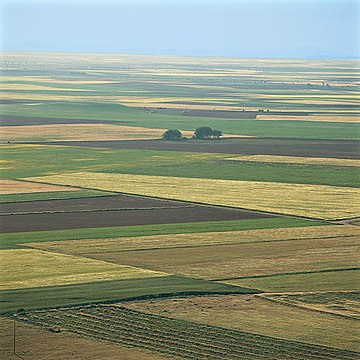 File:Moforlogiaagrária.jpg