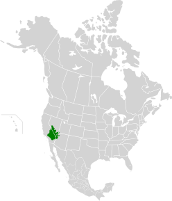 Where Is The Mojave Desert Located On A World Map Mojave Desert   Wikipedia