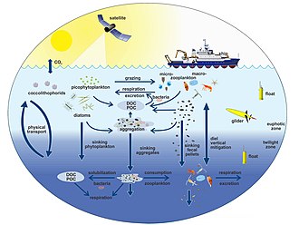 Schematic of processes that need to be measured to fully understand ocean productivity and carbon sequestration. Many of these topics involve optical measurements. Monitoring processes in the ocean from remote sensing.jpg