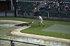 The crocodile show at the Australia Zoo