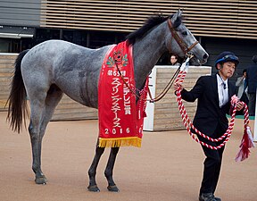 2016年冠军“洛森山”