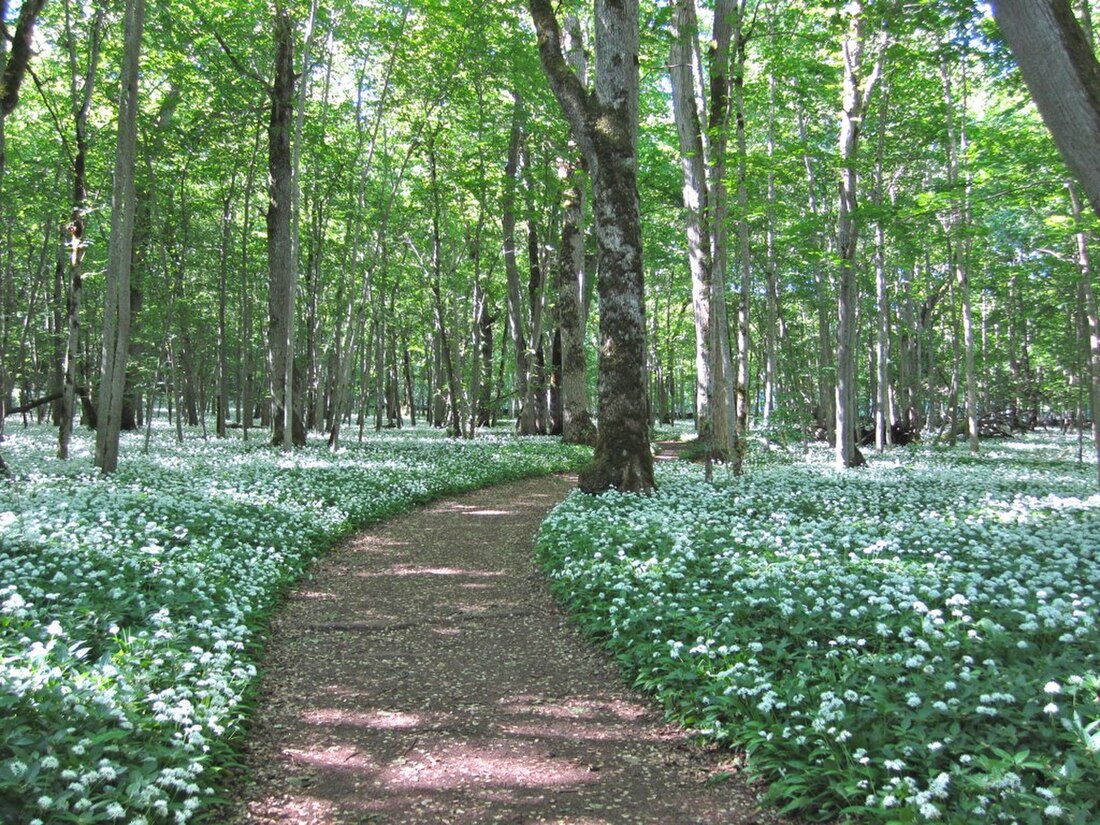 Munkängarna