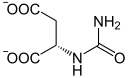 N-Carbamoyl-L-Aspartat