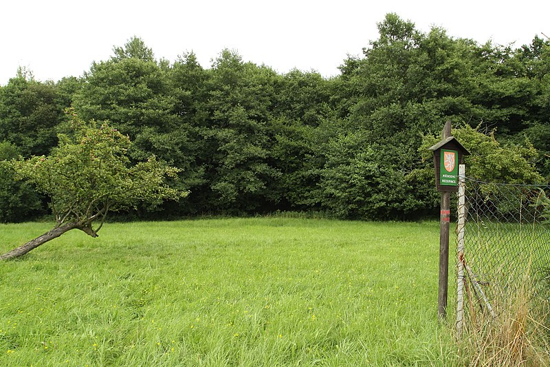 File:Natural monument Pod lesem in summer 2014 (1).JPG