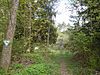 Niederholzer Hald quarry natural monument.jpg