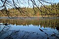 Herbststimmung am Neuteich