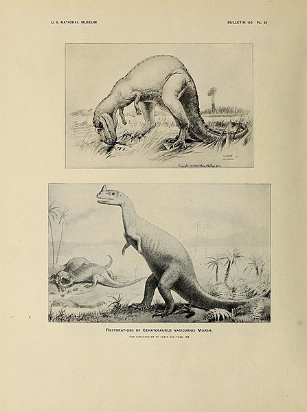 File:Osteology of the carnivorous Dinosauria in the United States National museum BHL40623219.jpg