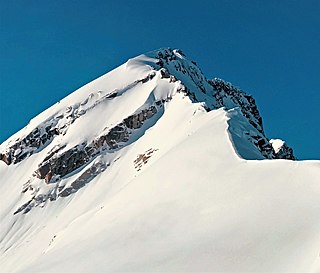 <span class="mw-page-title-main">Outrigger Peak</span> Mountain in the country of Canada