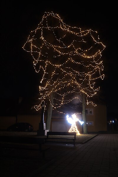 File:Overview of christmas tree in 2023 at Táborská street in Třebíč, Třebíč District.jpg