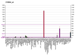 PBB GE KCNJ16 219564 at fs.png