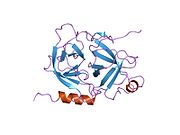 PDB 1mzd EBI.jpg