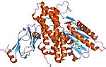 Vorschaubild für Dihydrolipoyl-Transacetylase