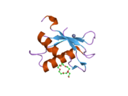 2hzc: Crystal structure of the N-terminal RRM of the U2AF large subunit