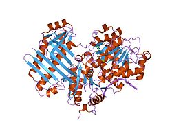 PDB 2j0s EBI.jpg