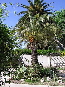 Jardín botánico de Marsella