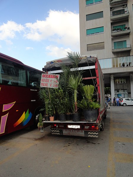 File:Palms on truck-shop, Palermo, Sicily, Italy (9456424181).jpg