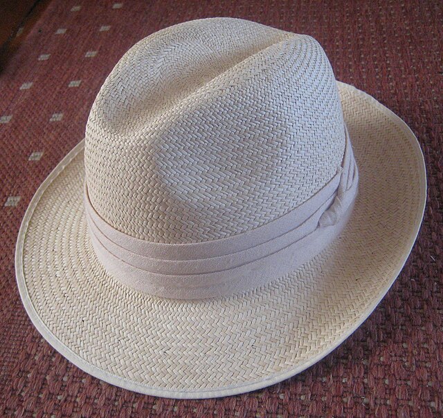 Curious Questions: Do Panama hats actually come from Panama