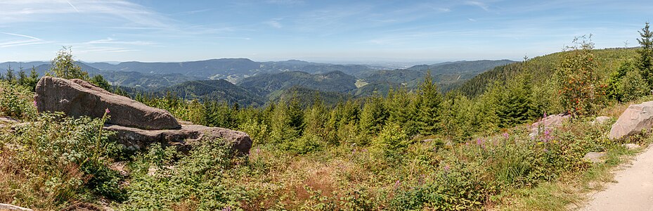 Panoramic trail Northern Black Forest