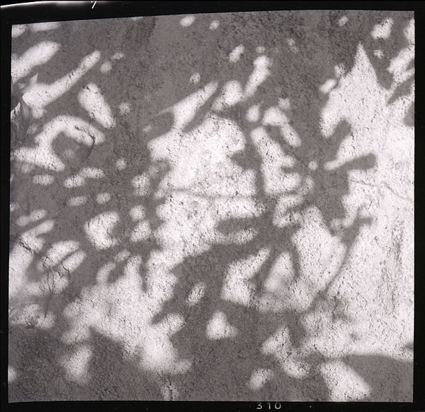 File:Paolo Monti - Serie fotografica (Anzola d'Ossola, 1965) - BEIC 6337141.jpg