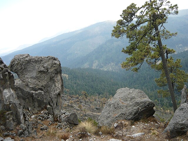 Image: Paraje "El Arenal"   panoramio