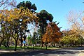 wikimedia_commons=File:Parque Florestal - Santiago - Chile (14764391608).jpg