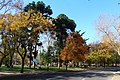 {{Monumento Nacional de Chile|419}}