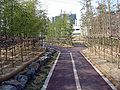 A bamboo-lined path beside the stream in Gunpo